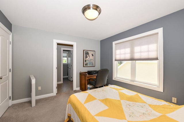 953 Eagleton Dr Unit 46-05, Lake Geneva, WI 53147 - bedroom featuring multiple windows and carpet flooring