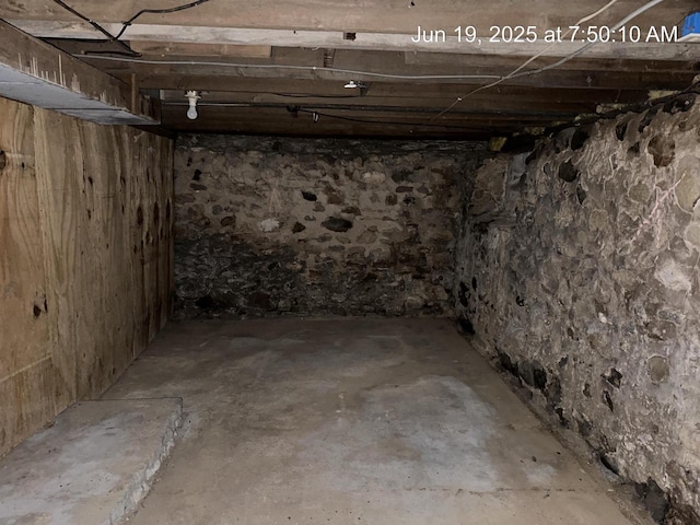N133 Bartell St, Stephenson, MI 49887 - view of basement