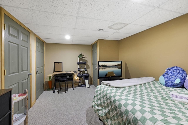 W5355 Linden Hill Dr, Appleton, WI 54915 - bedroom featuring a drop ceiling and carpet floors