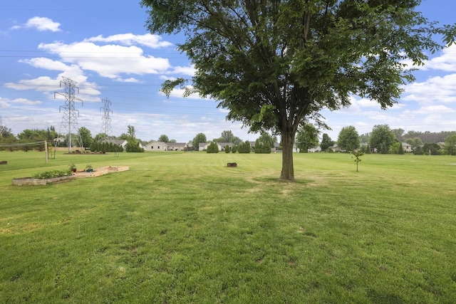 W5355 Linden Hill Dr, Appleton, WI 54915 - view of green lawn