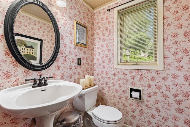 1021 Aspen Pl, West Bend, WI 53095 - half bathroom featuring toilet and a sink