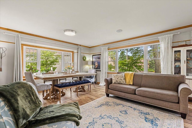 1021 Aspen Pl, West Bend, WI 53095 - living area featuring ornamental molding and wood finished floors