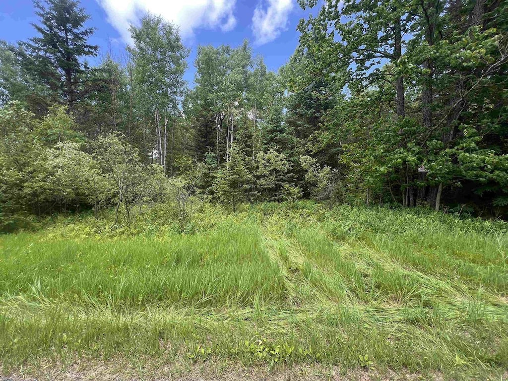 10556 Dream Lake Rd, Tipler, WI 54542