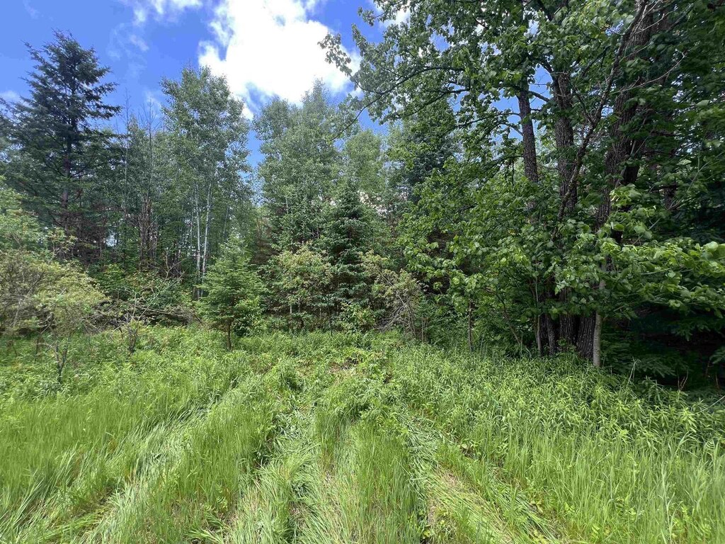 10556 Dream Lake Rd, Tipler, WI 54542