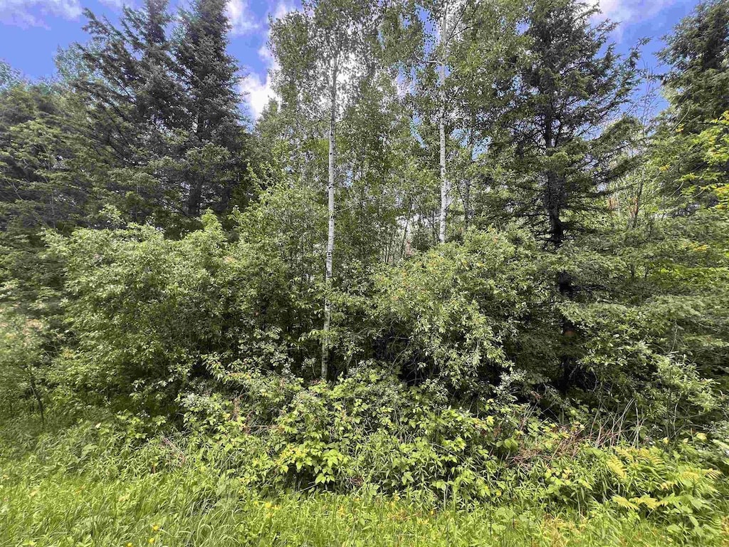 10556 Dream Lake Rd, Tipler, WI 54542