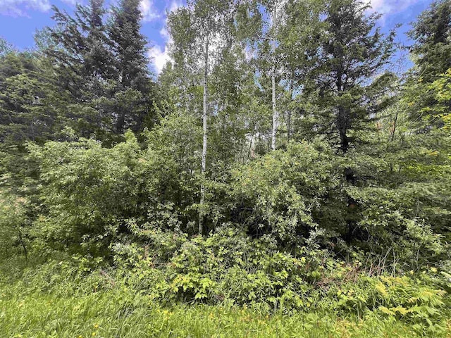 10556 Dream Lake Rd, Tipler, WI 54542