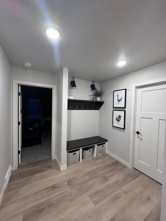 117 Cortland Ave, Casco, WI 54205 - mudroom with light wood finished floors and baseboards