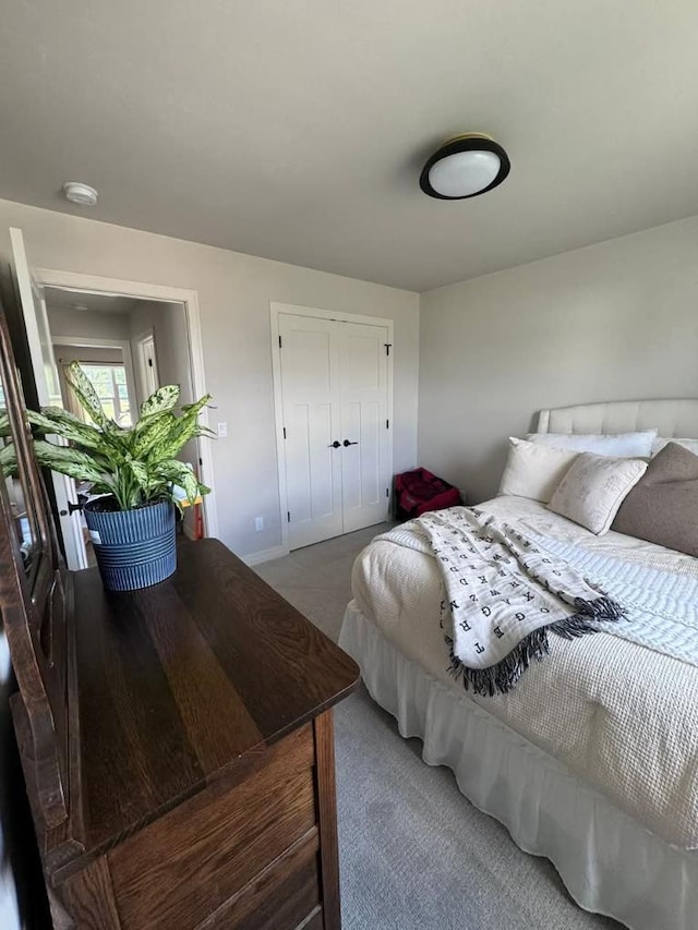 117 Cortland Ave, Casco, WI 54205 - bedroom featuring carpet floors and a closet