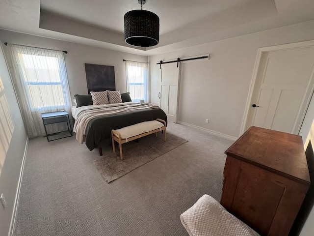 117 Cortland Ave, Casco, WI 54205 - carpeted bedroom featuring a tray ceiling and a barn door
