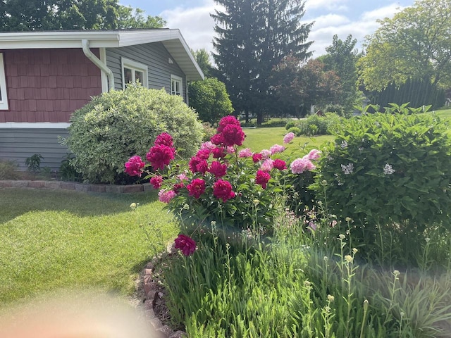 1508 Hoover St, New Holstein, WI 53061 - view of green lawn