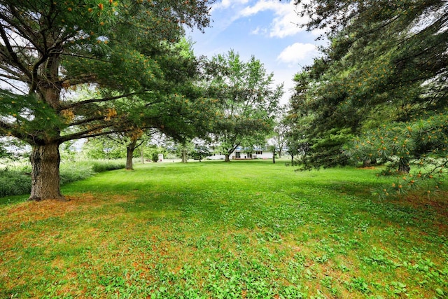 W365N7134 Mcmahon Rd, Oconomowoc, WI 53066 - view of green lawn