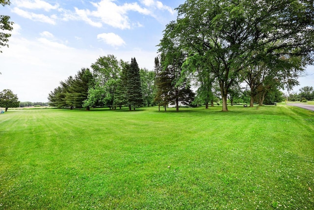 W365N7134 Mcmahon Rd, Oconomowoc, WI 53066 - view of green lawn
