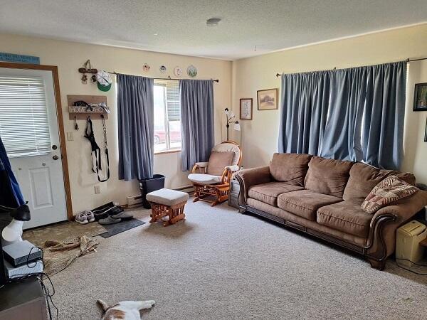 113/115 Oak St, Stoddard, WI 54658 - living area with carpet and a textured ceiling