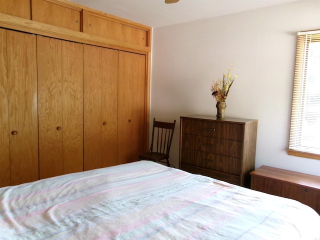 116 Mohawk Dr, Beaver Dam, WI 53916 - bedroom with a closet