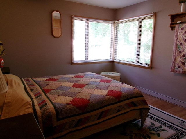 116 Mohawk Dr, Beaver Dam, WI 53916 - bedroom featuring multiple windows and wood finished floors