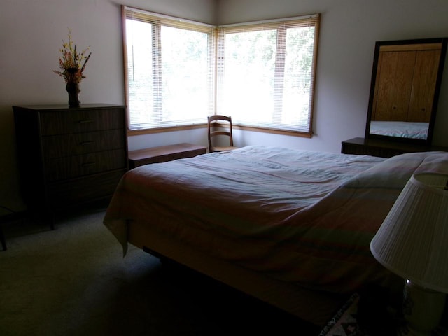 116 Mohawk Dr, Beaver Dam, WI 53916 - bedroom featuring carpet floors