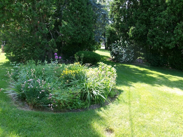 116 Mohawk Dr, Beaver Dam, WI 53916 - view of grassy yard