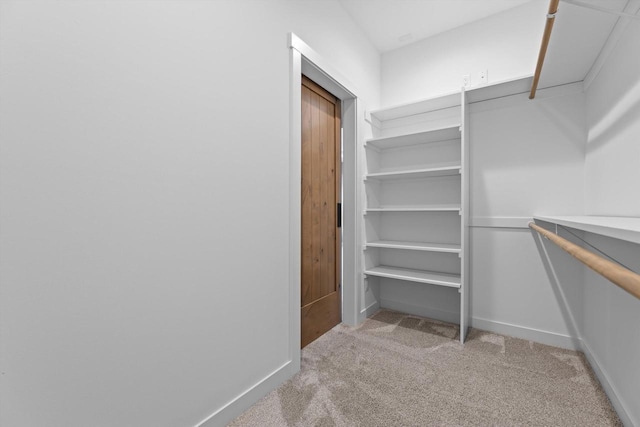N65W34963 Baltic Pass, Oconomowoc, WI 53066 - walk in closet with light colored carpet