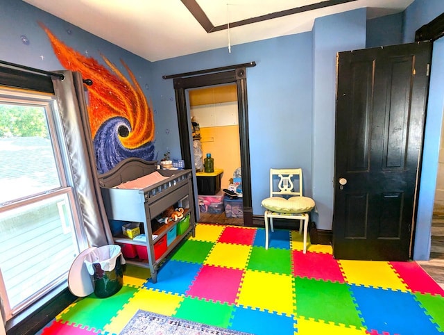 225 Caledonia St, La Crosse, WI 54603 - view of rec room