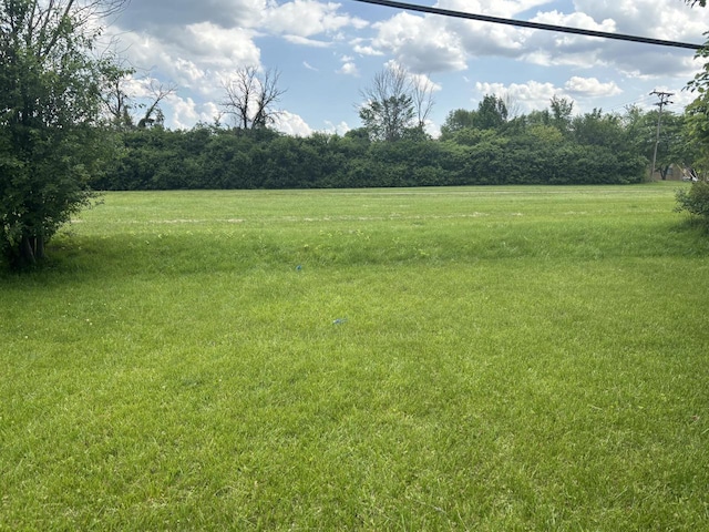 4945 W Tesch Ave, Milwaukee, WI 53220 - view of grassy yard