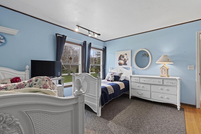 611 Mount Snowdon Rd, Wales, WI 53183 - bedroom featuring rail lighting and wood finished floors