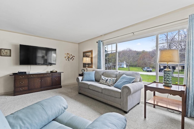611 Mount Snowdon Rd, Wales, WI 53183 - living room with carpet floors