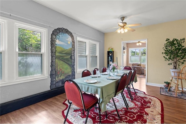 110 1st Ave, Balsam Lake, WI 54810 - dining area with wood finished floors, plenty of natural light, and a ceiling fan