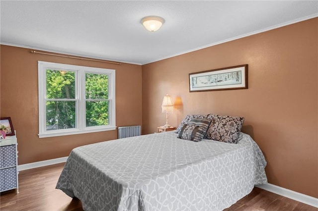 110 1st Ave, Balsam Lake, WI 54810 - bedroom with radiator, wood finished floors, and crown molding