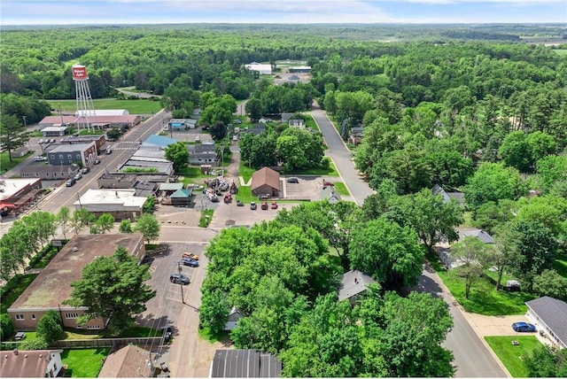 110 1st Ave, Balsam Lake, WI 54810 - aerial view of property's location with a heavily wooded area