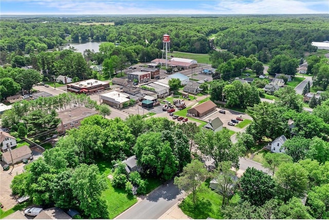 110 1st Ave, Balsam Lake, WI 54810 - bird's eye view of a heavily wooded area and a large body of water