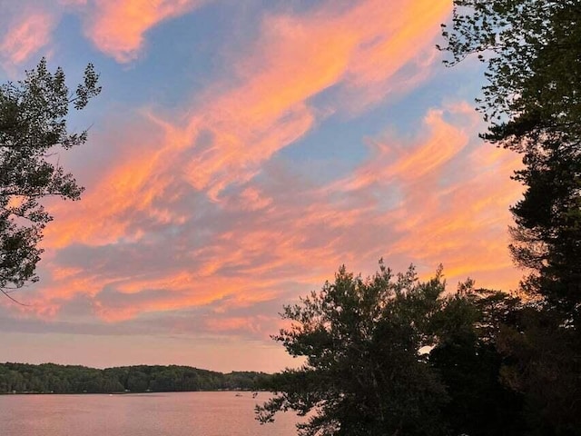 266 Victorian Village Dr Unit 226, Elkhart Lake, WI 53020 - water view with a forest