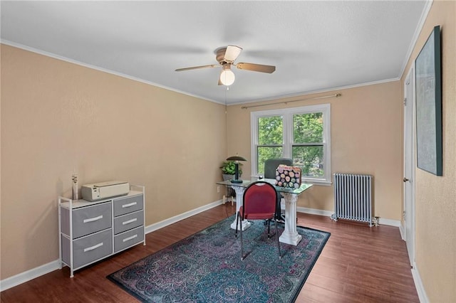 110 1st Ave, Balsam Lake, WI 54005 - office featuring radiator, a ceiling fan, dark wood finished floors, and crown molding