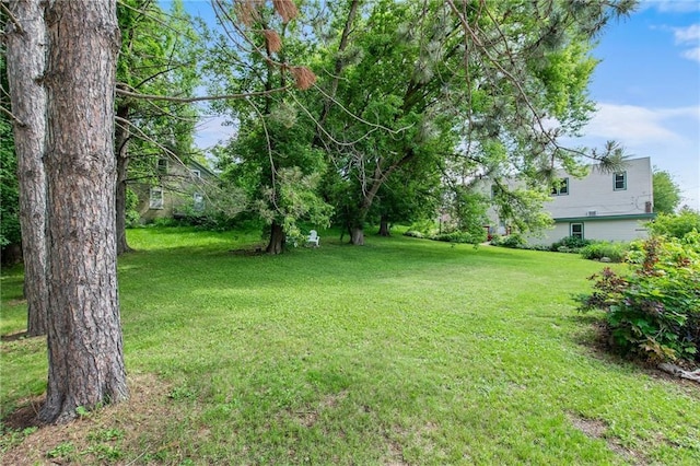 110 1st Ave, Balsam Lake, WI 54005 - view of green lawn