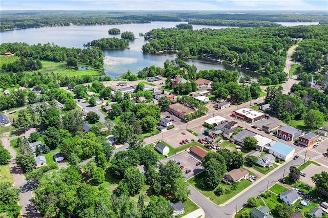 110 1st Ave, Balsam Lake, WI 54005 - aerial view of residential area with a large body of water and a forest