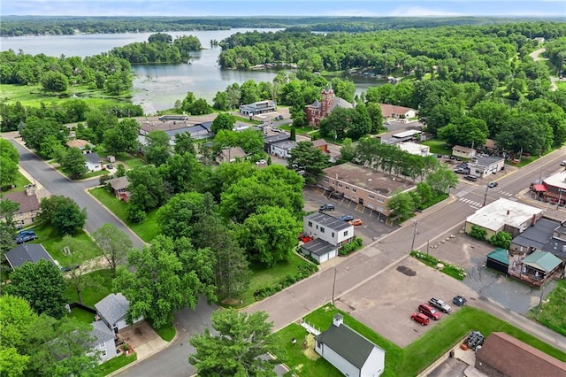 110 1st Ave, Balsam Lake, WI 54005 - aerial view of a large body of water and a heavily wooded area