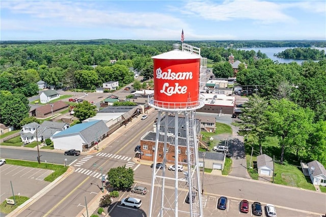 110 1st Ave, Balsam Lake, WI 54005 - drone / aerial view of a forest and a nearby body of water