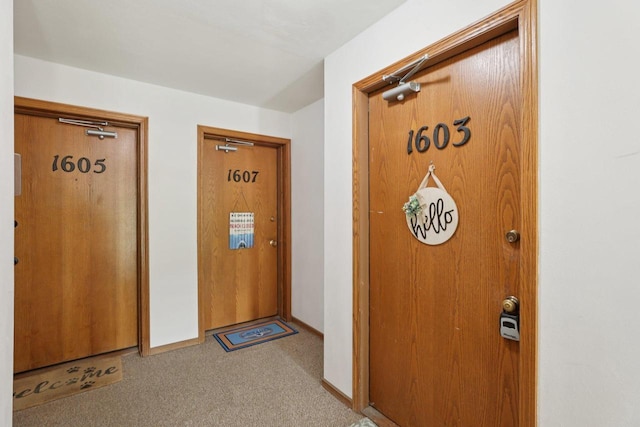 1603 Mckenna Blvd, Madison, WI 53711 - entrance to property