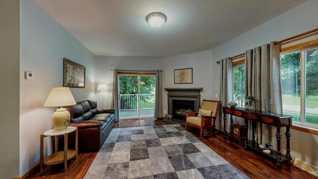 654 Riverview Ct Unit 2-Bldg C, Jefferson, WI 53549 - living room with plenty of natural light, wood finished floors, and a fireplace