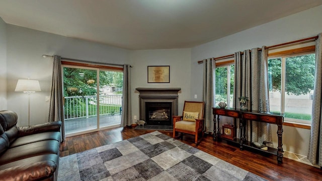 654 Riverview Ct Unit 2-Bldg C, Jefferson, WI 53549 - living room featuring plenty of natural light, wood finished floors, and a fireplace with raised hearth