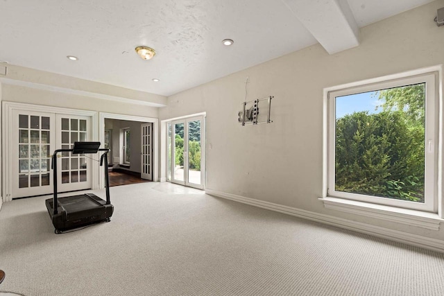 1626 Fox Hollow Ln, Cedarburg, WI 53012 - workout room featuring french doors, carpet flooring, and recessed lighting