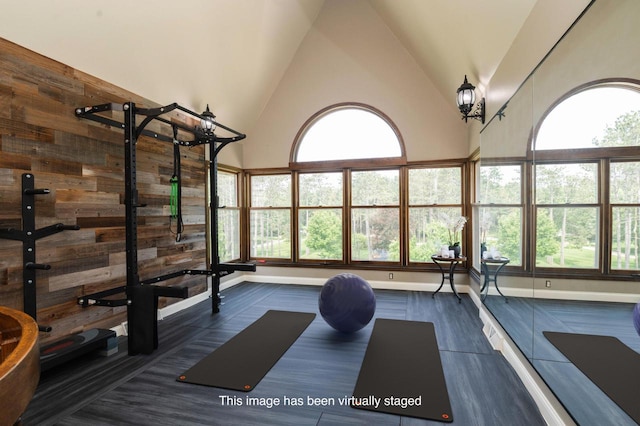 N69W29753 Ridgeview Ct, Hartland, WI 53029 - exercise room featuring high vaulted ceiling and plenty of natural light