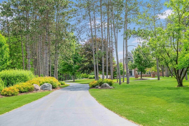 N69W29753 Ridgeview Ct, Hartland, WI 53029 - view of community featuring a lawn and asphalt driveway