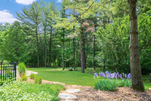 N69W29753 Ridgeview Ct, Hartland, WI 53029 - view of grassy yard featuring a view of trees