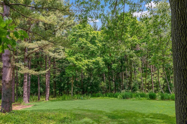 N69W29753 Ridgeview Ct, Hartland, WI 53029 - view of green lawn with a forest view