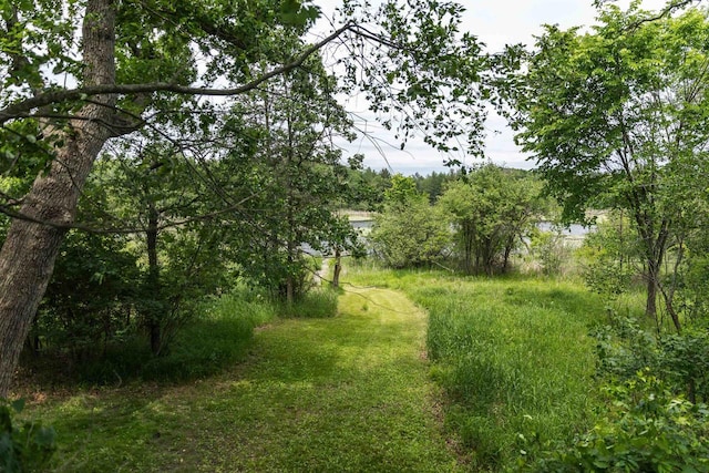 N5642 8th Dr, Westfield, WI 53964 - view of yard