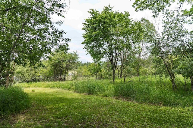 N5642 8th Dr, Westfield, WI 53964 - view of nature