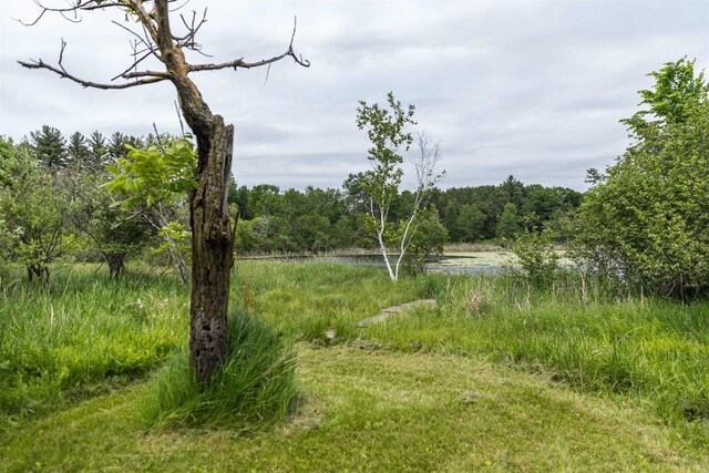 N5642 8th Dr, Westfield, WI 53964 - view of woods with a water view