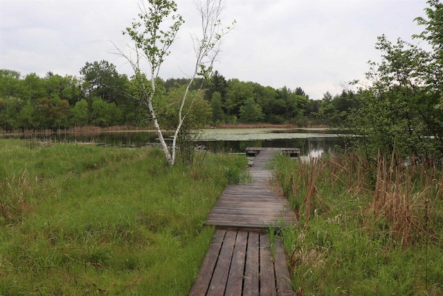 N5642 8th Dr, Westfield, WI 53964 - dock area with a water view and a wooded view