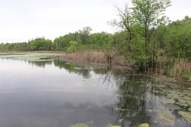 N5642 8th Dr, Westfield, WI 53964 - water view featuring a heavily wooded area