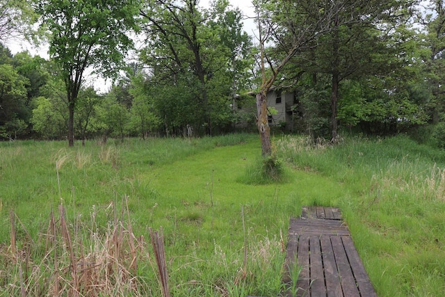 N5642 8th Dr, Westfield, WI 53964 - view of yard
